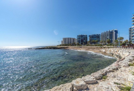 Segunda Mano - Apartamento - Torrevieja - Punta prima