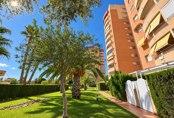 Revente - Apartment / Duplex - Orihuela Costa - Campoamor