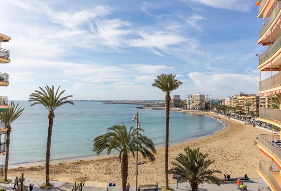 Revente - Appartement - Torrevieja - Estacion de autobuses