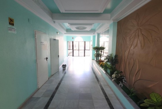 Revente - Appartement - Torrevieja - Estacion de autobuses