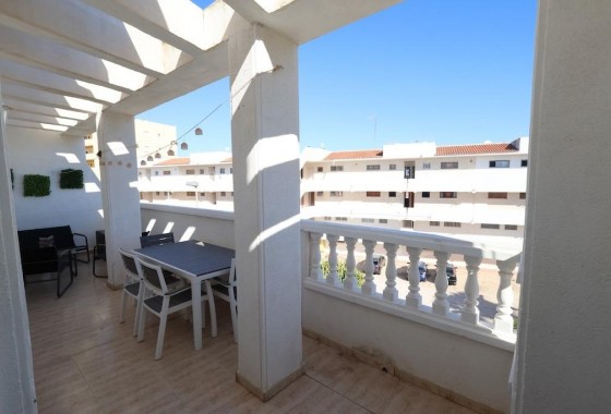 Revente - Appartement - Torrevieja - Estacion de autobuses