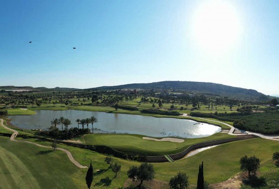 Revente - Villa - Algorfa - Inland