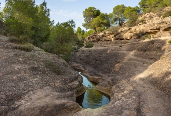 Revente - Villa - Algorfa - Inland