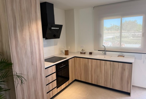 Nouvelle construction - Villa - Pilar de la Horadada - pueblo