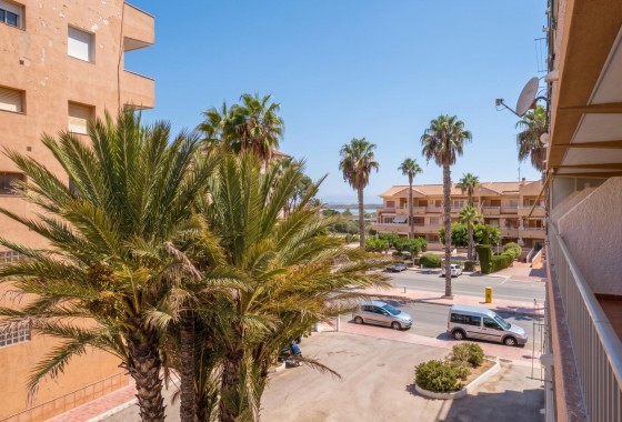 Revente - Studio - Guardamar del Segura - Lomas de Polo-Pinomar