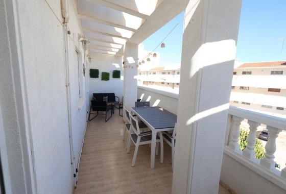 Segunda Mano - Apartamento - Torrevieja - Estacion de autobuses