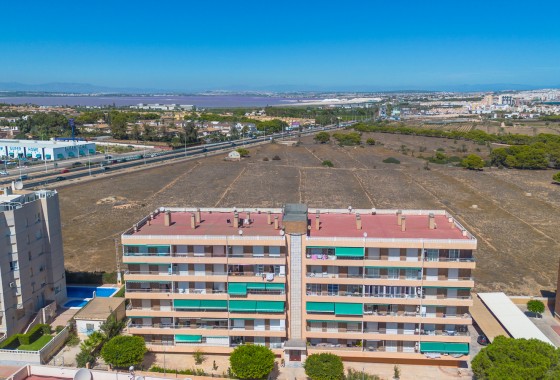 Segunda Mano - Apartamento - Torrevieja - Rocio Del Mar