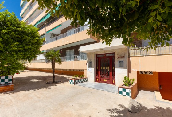 Segunda Mano - Apartamento - Torrevieja - Rocio Del Mar