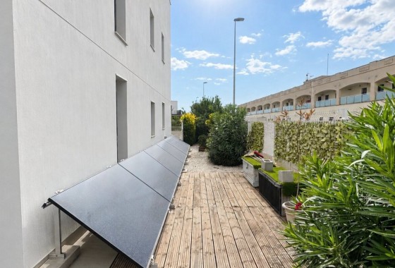 Segunda Mano - Apartamento - Orihuela Costa - Punta Prima