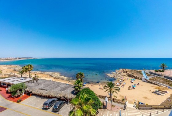 Segunda Mano - Apartamento - Torrevieja - Cabo cervera