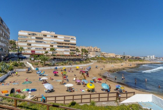 Segunda Mano - Apartamento - Torrevieja - Cabo cervera