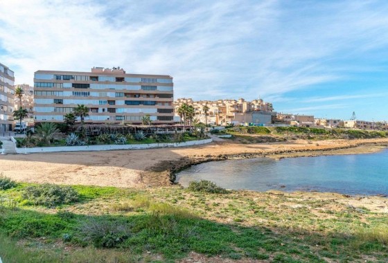 Segunda Mano - Apartamento - Torrevieja - Cabo cervera
