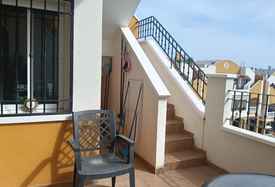 Segunda Mano - Apartamento - Los Montesinos - Urbanizacion montesol