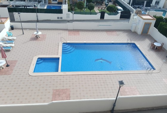 Segunda Mano - Apartamento - Los Montesinos - Urbanizacion montesol