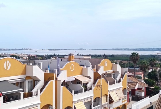 Segunda Mano - Apartamento - Los Montesinos - Urbanizacion montesol