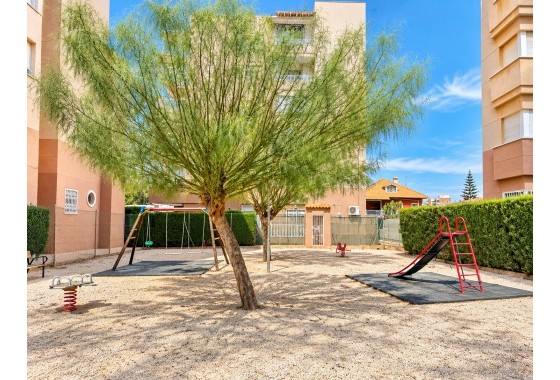 Segunda Mano - Apartment / Duplex - Torrevieja