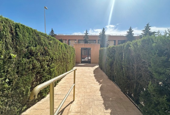 Segunda Mano - Apartment / Duplex - Torrevieja