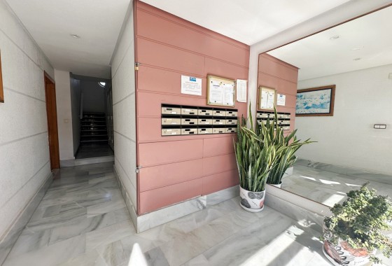 Segunda Mano - Apartment / Duplex - Torrevieja