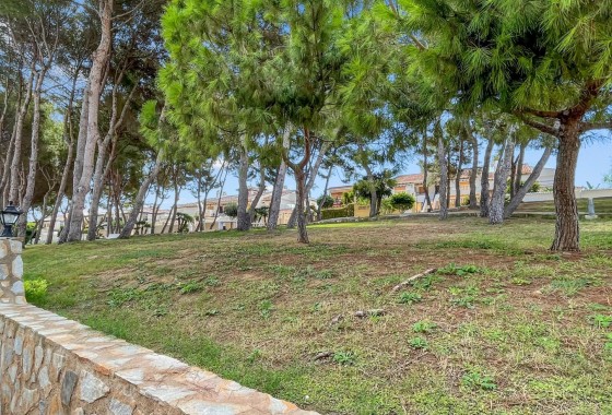 Resale - Apartment - Mil Palmeras