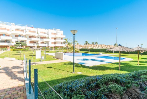 Segunda Mano - Apartamento - Orihuela Costa