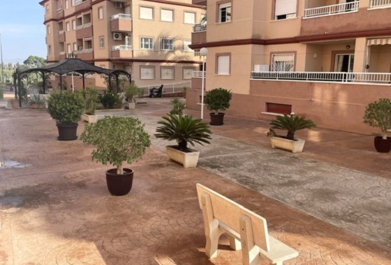 Segunda Mano - Apartamento - Algorfa