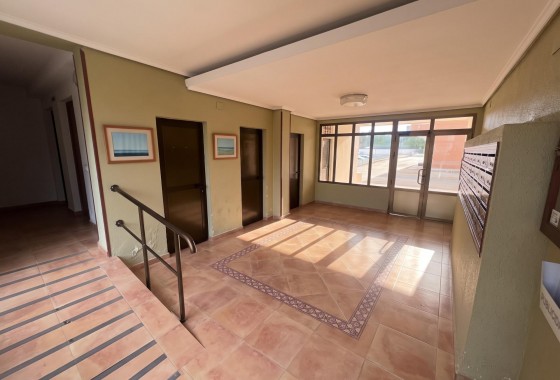Revente - Studio - Guardamar del Segura - Lomas de Polo-Pinomar