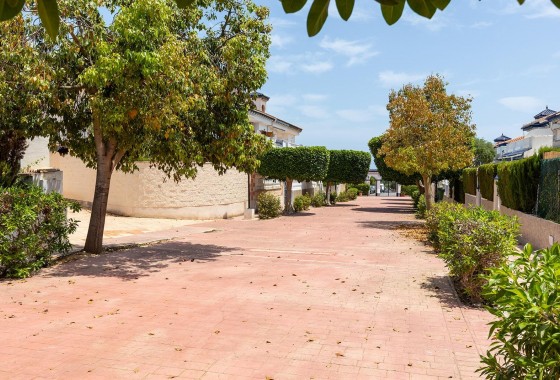 Segunda Mano - Bungalow - Torrevieja - Cañada del Molino
