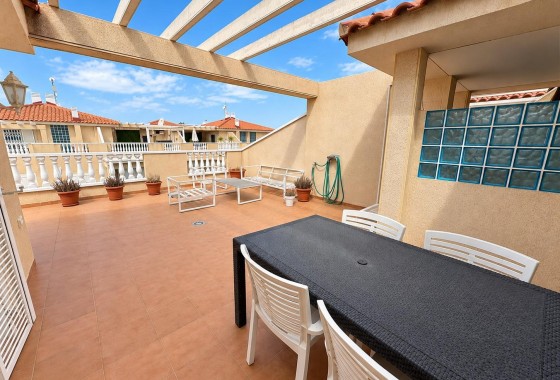 Segunda Mano - Apartamento - Orihuela Costa - Punta Prima