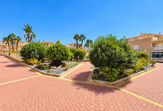Segunda Mano - Apartamento - Orihuela Costa - Punta Prima
