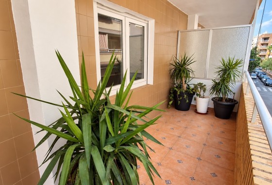 Segunda Mano - Apartment / Duplex - Torrevieja