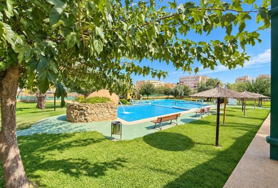 Revente - Bungalow - Torrevieja - Torreblanca