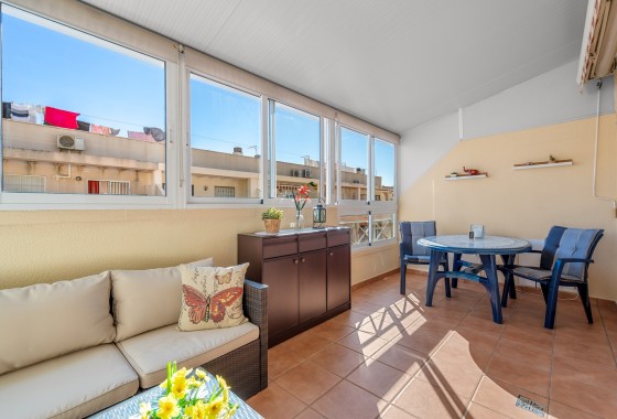 Segunda Mano - Apartamento - Torrevieja