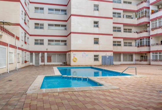 Segunda Mano - Apartamento - Torrevieja