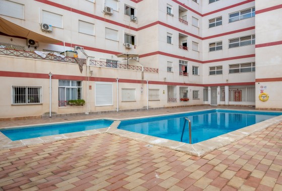 Segunda Mano - Apartamento - Torrevieja