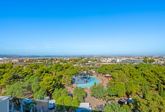 Segunda Mano - Apartamento - Torrevieja