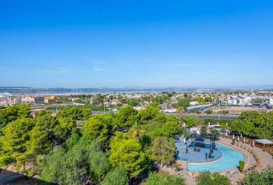 Segunda Mano - Apartamento - Torrevieja