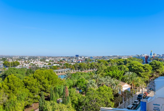 Segunda Mano - Apartamento - Torrevieja