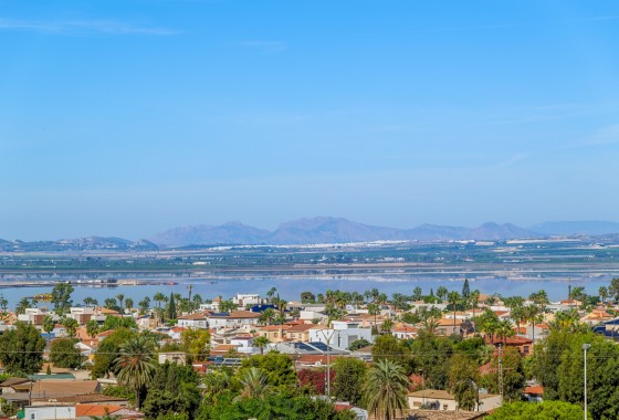 Segunda Mano - Apartamento - Torrevieja
