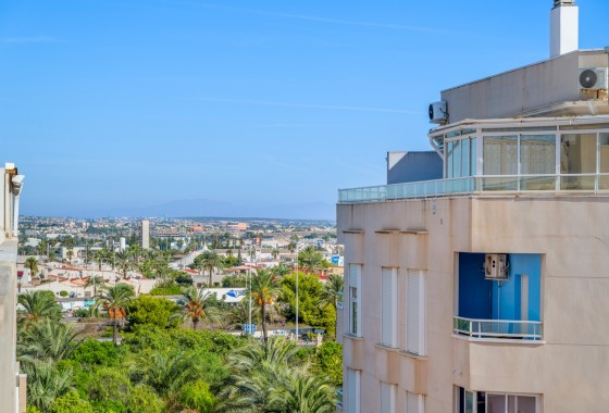Segunda Mano - Apartamento - Torrevieja