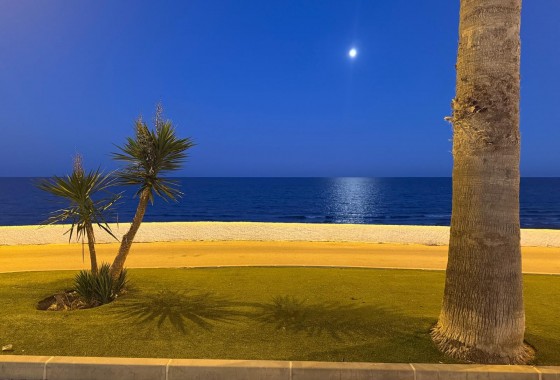 Revente - Bungalow - Pilar de la Horadada - Mil Palmeras