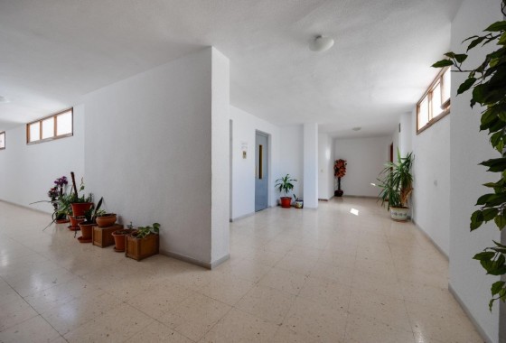Revente - Appartement - Playa del Acequion
