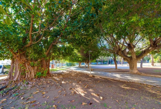 Revente - Appartement - Playa del Acequion