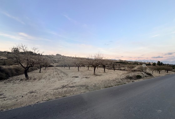 Revente - Terrain - Torremendo - Costa Blanca