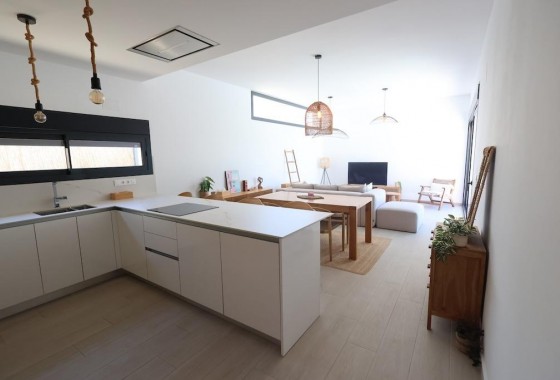 Resale - Detached Villa - Algorfa - Comunidad valenciana