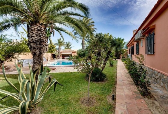 Segunda Mano - Chalet - Torrevieja - La Siesta - El Salado - Torreta