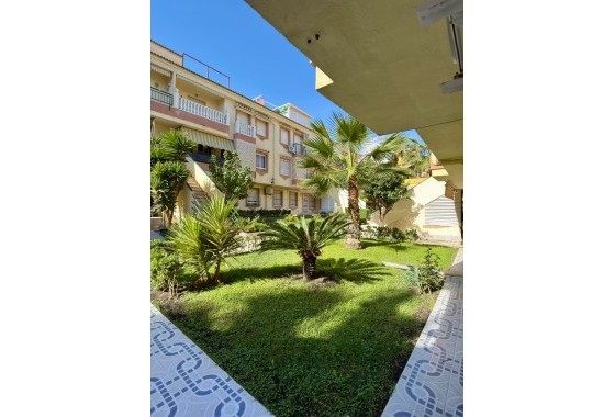 Segunda Mano - Apartamento - Torrevieja - La Veleta