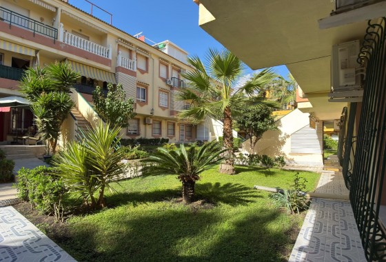 Segunda Mano - Apartamento - Torrevieja - La Veleta