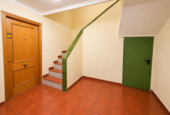 Resale - Studio apartment  - Torrevieja - Estacion de autobuses