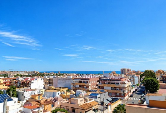 Obra nueva - Apartamento - Torrevieja - Nueva Torrevieja