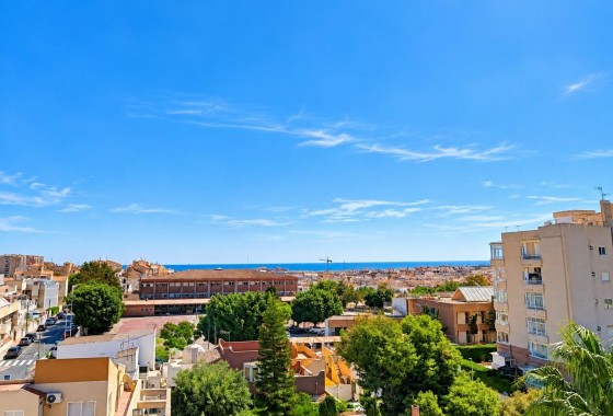 Obra nueva - Apartamento - Torrevieja - Nueva Torrevieja